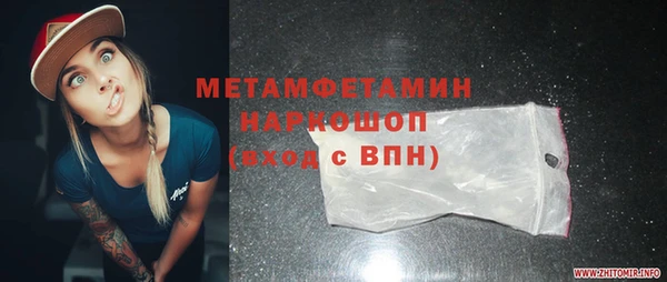 шишки Ельня