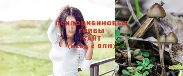 ALPHA-PVP Елабуга