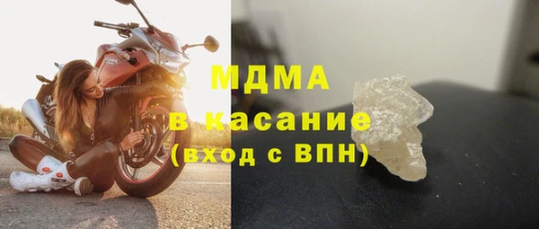 шишки Ельня