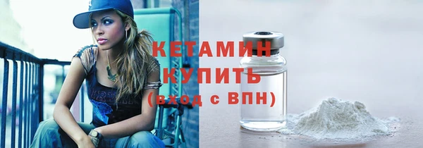 шишки Ельня