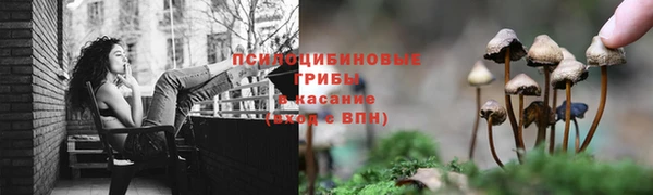 гашиш Елизово
