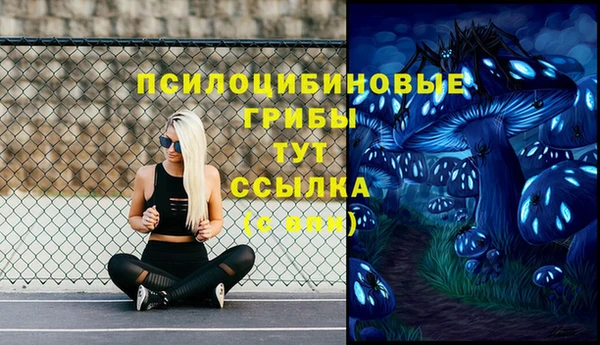 гашиш Елизово