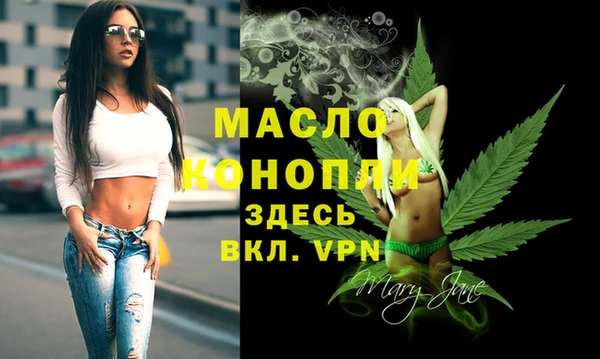 шишки Ельня