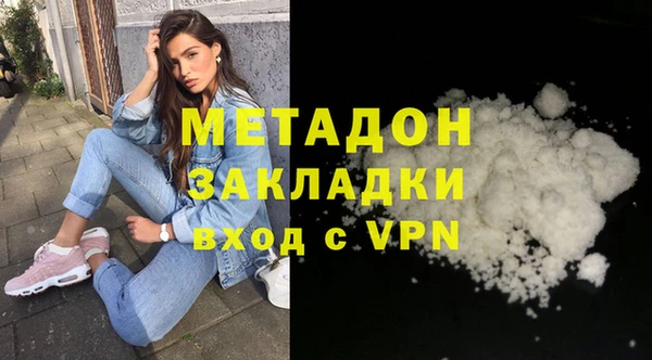шишки Ельня