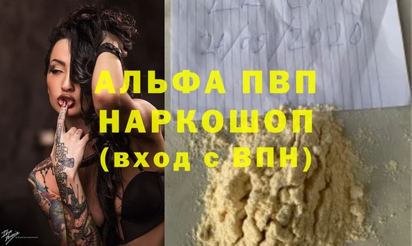 шишки Ельня