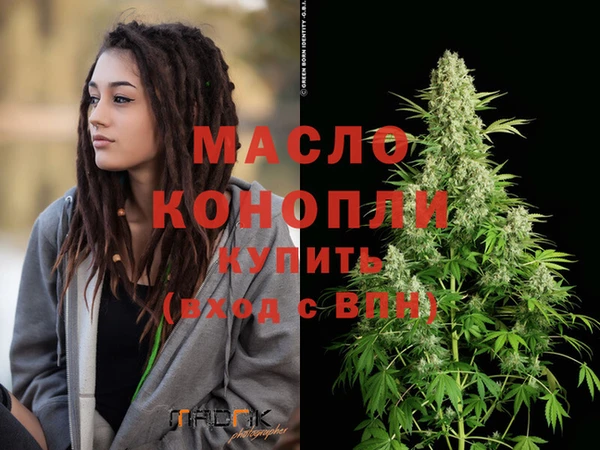 шишки Ельня