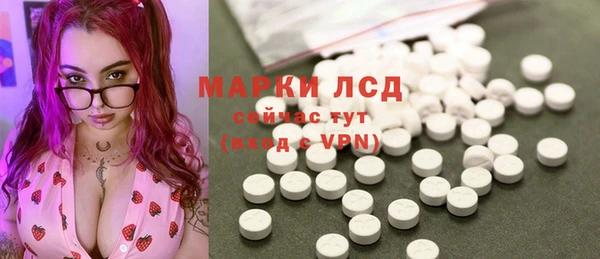 шишки Ельня