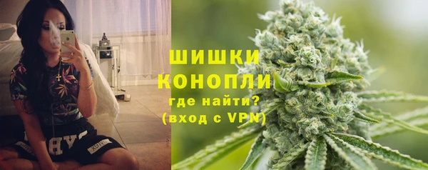шишки Ельня