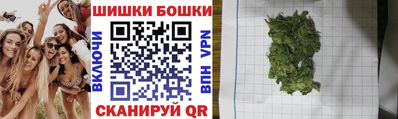 Шишки марихуана план  Купить закладки  Будённовск 